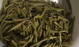 无锡太湖翠竹 无锡太湖翠竹